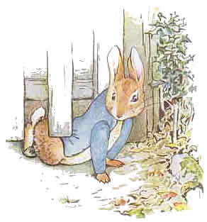 peterrabbit06